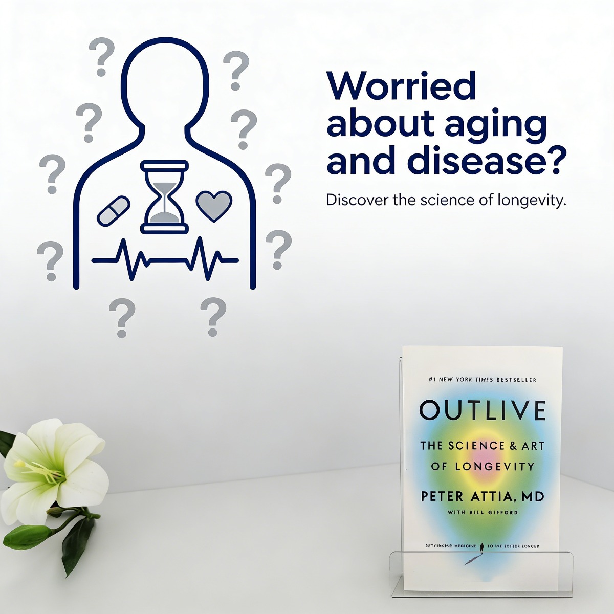 أوتلايف ذا ساينس آند آرت أوف ل - مراجعة Longevity Health & Wellness Hotel Adults Only وسعره
